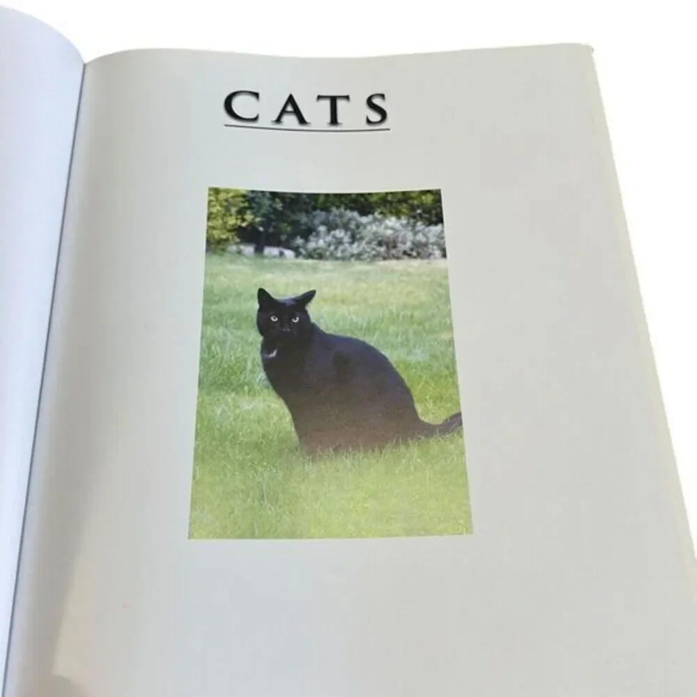 N/A interior book
